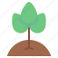 ecology, environment, green, growth, leaf, plant, tree 