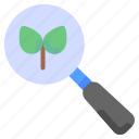 chemical, eco, ecology, loupe, magnifying, plant, research 