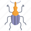 bug2 