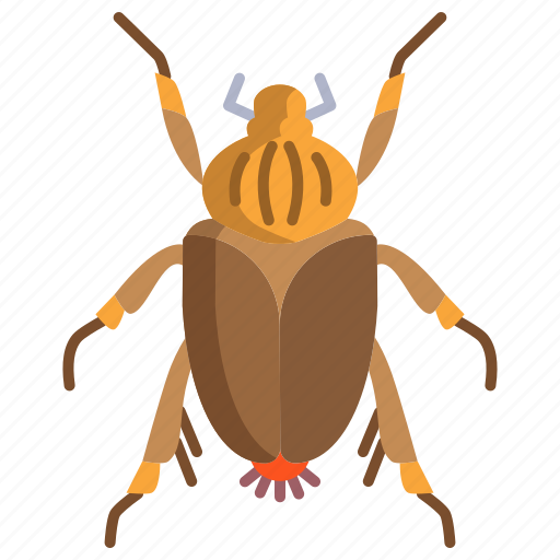 Goliath, beetle icon - Download on Iconfinder on Iconfinder