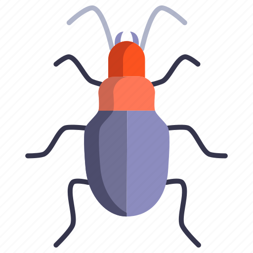 Ground, beetle icon - Download on Iconfinder on Iconfinder