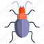 ground, beetle 