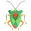 insect 