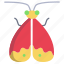 moth 