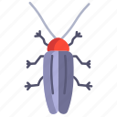 titan, beetle 