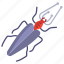 insect2 