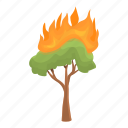 young, tree, fire, nature