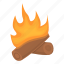 burning, wood, campfire 