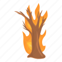 burning, forest, tree