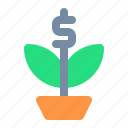 money plant, growth, investment, financial, finance