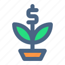 money plant, growth, investment, financial, business