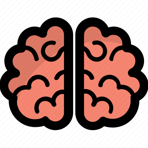 Brain, head, human brain, mind, sense icon - Download on Iconfinder