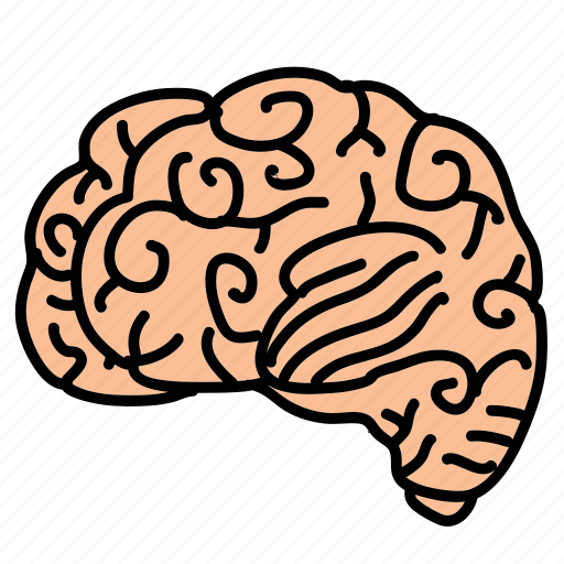 Biology, brain, business, think, thought icon - Download on Iconfinder