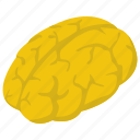 brain, human brain, mind, neural system, pathology 