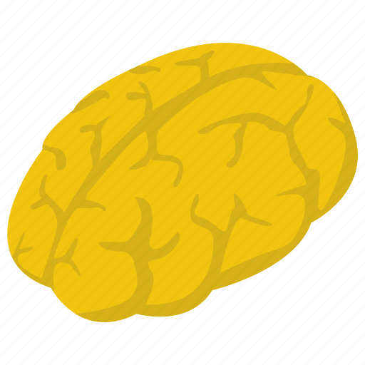 Brain, human brain, mind, neural system, pathology icon - Download on Iconfinder