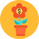 business, coin, flower, growing, growth, money, plant
