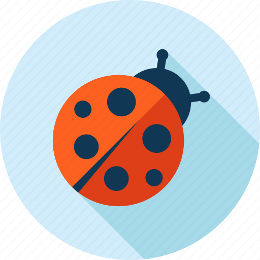 Animal, beetle, bug, insect, ladybug, nature icon - Download on Iconfinder