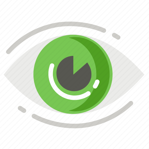 Eye, eyesight, vision, watching icon - Download on Iconfinder