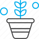 flower, leaf, plant, pot