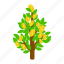 business, coin, currency, dollar, isometric, prosperity, tree 