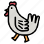 chicken, chick, meat, animal, farm 
