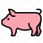 pig, pork, meat, animal, food 