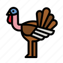 turkey, thanksgiving, food, meat, restaurant