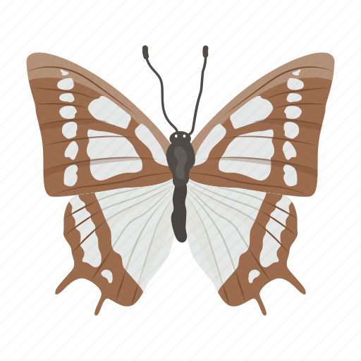 .svg, cabbage white, butterfly, insect, macrolepidopteran, lepidoptera icon - Download on Iconfinder