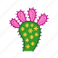 cacti, cactus, decoration, dry, houseplant, mix, plant 