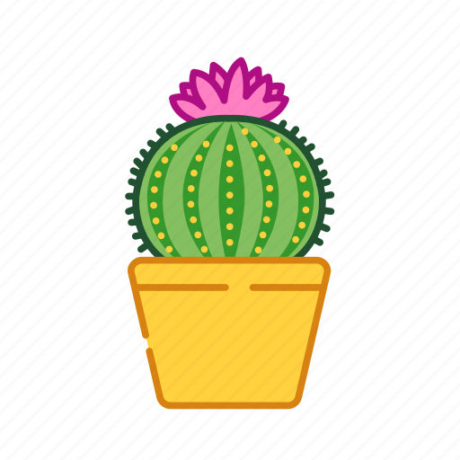 Cacti, cactus, decoration, houseplant, plant, pot icon - Download on Iconfinder