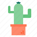 botanical, cactus, nature, plant