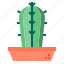 botanical, cactus, nature, plant 