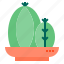 botanical, cactus, nature, plant 
