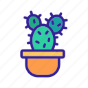 cacti, cactus, contour, garden, plant, silhouette 