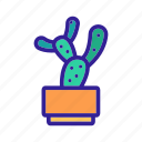 cacti, cactus, contour, leaf, plant, silhouette 