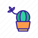 cacti, cactus, contour, plant, silhouette, tree