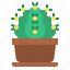 cacti, botanical, cactus, plant 