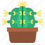 cacti, cactus, flower, plant 