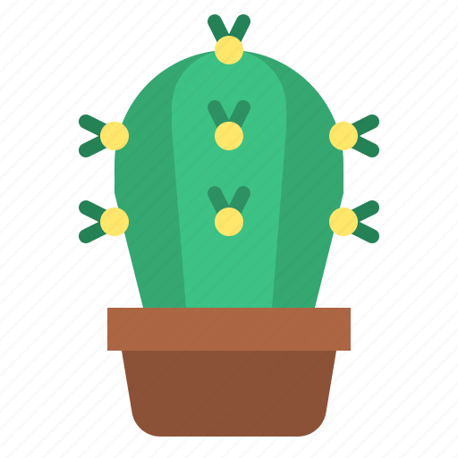 Cacti, cactus, flower, plant, botanical icon - Download on Iconfinder