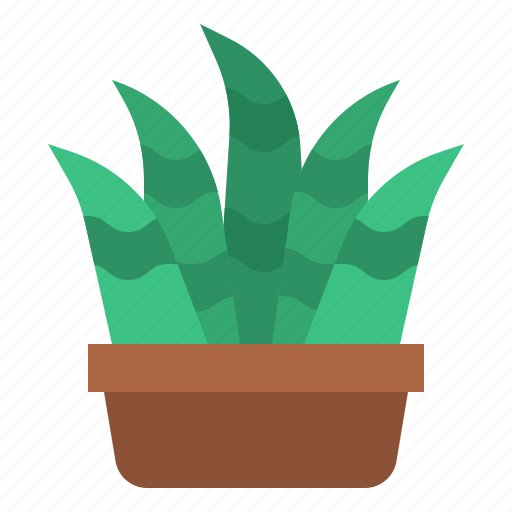 Cacti, cactus, plant, botanical icon - Download on Iconfinder
