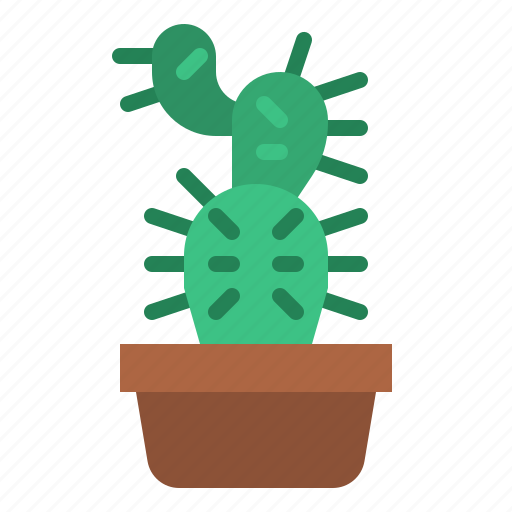 Cacti, cactus, plant, nature icon - Download on Iconfinder