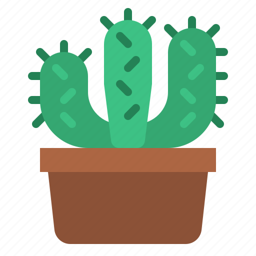 Cactus, cacti, botanical, plant icon - Download on Iconfinder