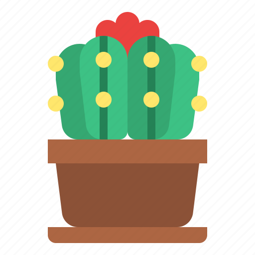Cactus, cacti, plant, flower, botanical icon - Download on Iconfinder
