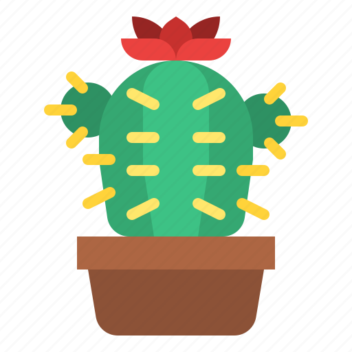 Cactus, cacti, plant, flower, botany icon - Download on Iconfinder