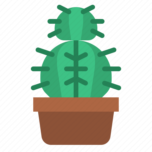 Cactus, plant, cacti, nature, botanical icon - Download on Iconfinder