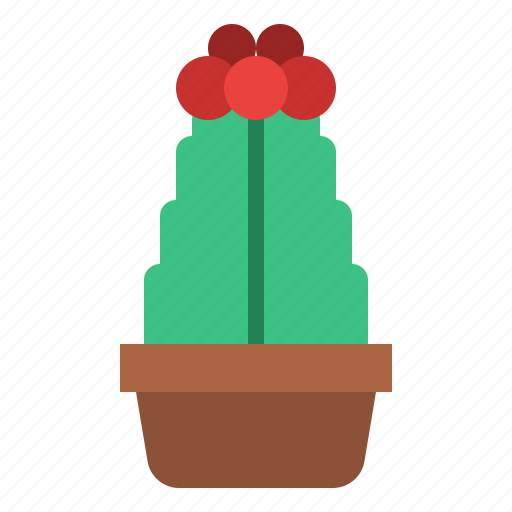 Cactus, plant, flower, botany, pot icon - Download on Iconfinder