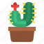 cactus, plant, flower, cacti, botany 