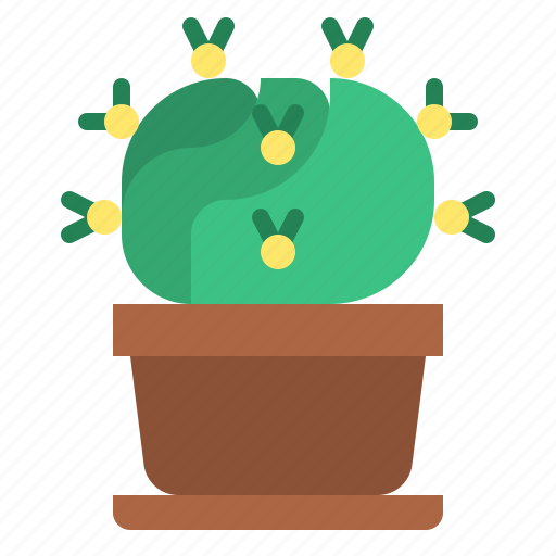 Cactus, plant, pot, botany icon - Download on Iconfinder