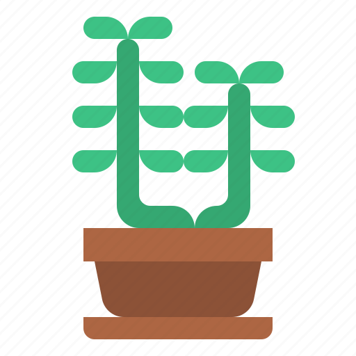 Suculent, cacti, cactus, botanical, plant icon - Download on Iconfinder