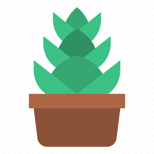 Suculent, cactus, botanical, plant icon - Download on Iconfinder